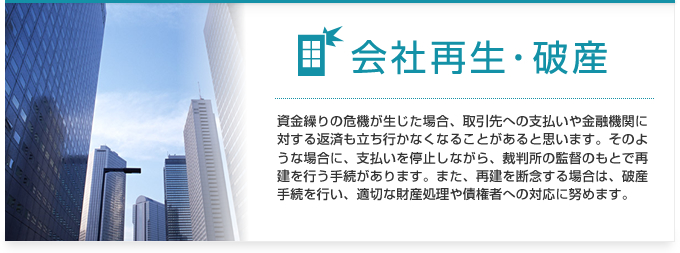 会社再生・破産：資金繰りの危機が生じた場合、取引先への支払いや金融機関に対する返済も立ち行かなくなることがあると思います。そのような場合に、支払いを停止しながら、裁判所の監督のもとで再建を行う手続があります。また、再建を断念する場合は、破産手続を行い、適切な財産処理や債権者への対応に努めます。