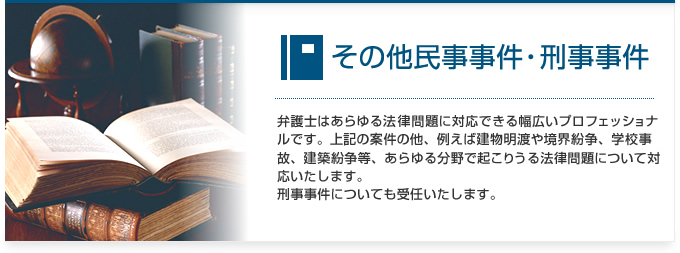 その他民事事件・刑事事件：弁護士はあらゆる法律問題に対応できる幅広いプロフェッショナルです。上記の案件の他、例えば建物明渡や境界紛争、学校事故、建築紛争等、あらゆる分野で起こりうる法律問題について対応いたします。刑事事件についても受任いたします。